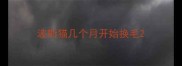 波斯猫几个月开始换毛