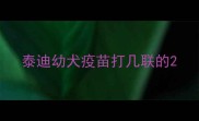 泰迪幼犬疫苗打几联的