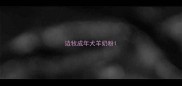 边牧成年犬羊奶粉