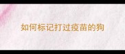 如何标记打过疫苗的狗