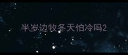 半岁边牧冬天怕冷吗