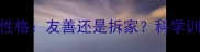 哈士奇性格友善还是拆家科学训练指南