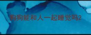 狗狗能和人一起睡觉吗