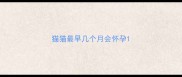 猫猫最早几个月会怀孕