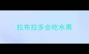 拉布拉多会吃水果