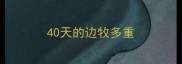 40天的边牧多重