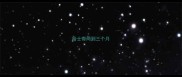 哈士奇两到三个月