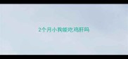 2个月小狗能吃鸡肝吗