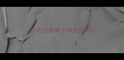 拉布拉多鼻子棕色纯吗