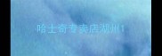 哈士奇专卖店湖州