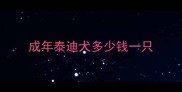 成年泰迪犬多少钱一只