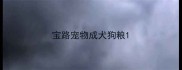 宝路宠物成犬狗粮
