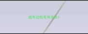 成年边牧毛有多长