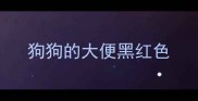 狗狗的大便黑红色