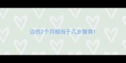 边牧2个月相当于几岁智商