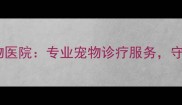 上海治瑞宠物医院专业宠物诊疗服务守护毛孩健康