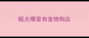 瓯北哪里有宠物狗店