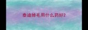 泰迪掉毛用什么药好