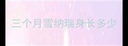 三个月雪纳瑞身长多少