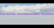 金毛犬虱子防治全攻略科学应对宠物寄生虫问题指南附专业处理方案