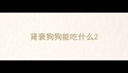 肾衰狗狗能吃什么