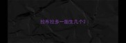拉布拉多一胎生几个