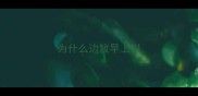 为什么边牧早上叫