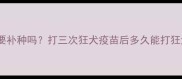 三次接种后还需要补种吗打三次狂犬疫苗后多久能打狂犬疫苗抗体检测