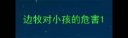 边牧对小孩的危害