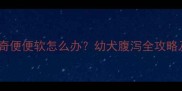 3个月哈士奇便便软怎么办幼犬腹泻全攻略及护理指南