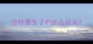边牧要生了有什么征兆