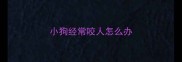 小狗经常咬人怎么办