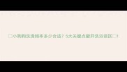 小狗狗洗澡频率多少合适5大关键点避开洗浴误区