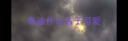 泰迪什么名子可爱