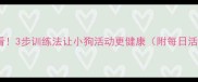 新手必看3步训练法让小狗活动更健康附每日活动指南