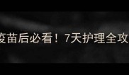 狗狗打完疫苗后必看7天护理全攻略