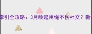 金毛幼犬牵引全攻略3月龄起用绳不伤社交新手必看