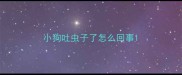 小狗吐虫子了怎么回事