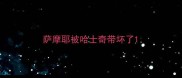 萨摩耶被哈士奇带坏了