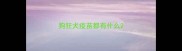 狗狂犬疫苗都有什么