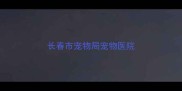 长春市宠物局宠物医院