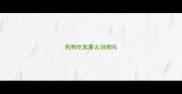 狗狗吃紫薯去泪痕吗