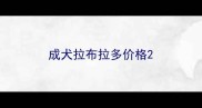 成犬拉布拉多价格