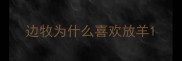 边牧为什么喜欢放羊