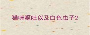 猫咪呕吐以及白色虫子