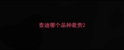 泰迪哪个品种最贵