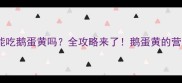 拉布拉多能吃鹅蛋黄吗全攻略来了鹅蛋黄的营养和禁忌全