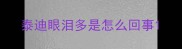 泰迪眼泪多是怎么回事
