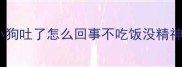 小狗吐了怎么回事不吃饭没精神