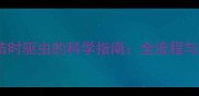 边牧打疫苗时驱虫的科学指南全流程与注意事项